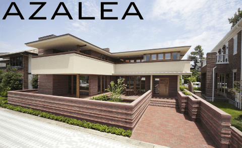 AZALEA